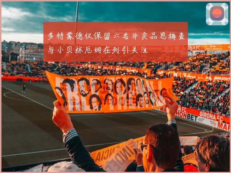 多特蒙德仅保留六名非卖品恩梅查与小贝林厄姆在列引关注